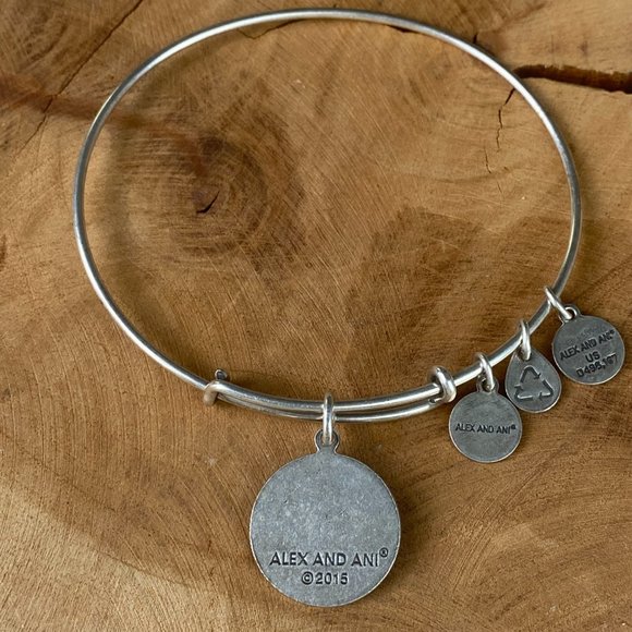 ALEX & ANI Friend Bracelet Energy Charm Bangle Set, Rafaelian Gold and Silver - Picture 5 of 9